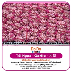 Tỏi Ngựa - DODO GLOBAL