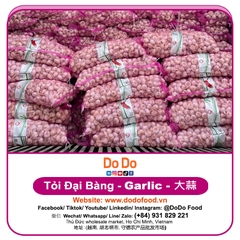 Tỏi Đại Bàng