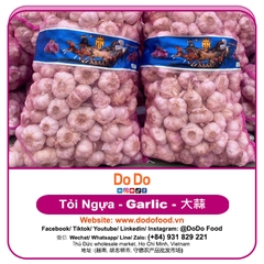 Tỏi Ngựa - DODO GLOBAL