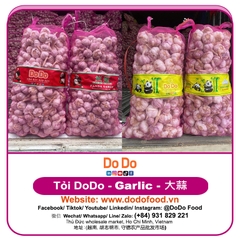 Chinese Garlic Export- 中国大蒜出口