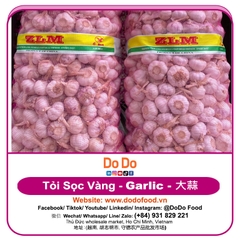 Chinese Garlic Export- 中国大蒜出口