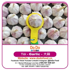 Tỏi rồng đỏ