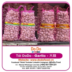 Chinese Garlic Export- 中国大蒜出口