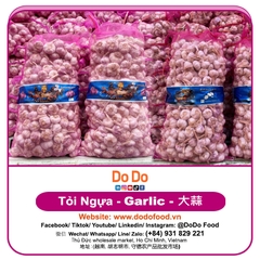 Chinese Garlic Export- 中国大蒜出口