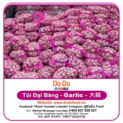 Tỏi Đại Bàng