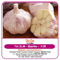Tỏi ZLM