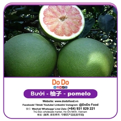 Bưởi 柚子