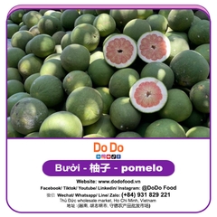 Bưởi 柚子