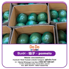 Bưởi 柚子