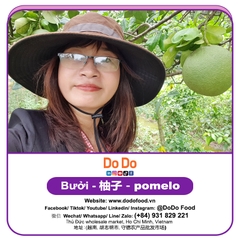 Bưởi 柚子