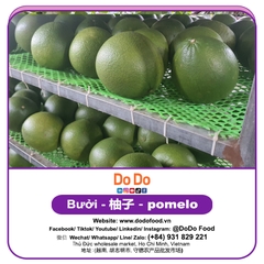 Bưởi 柚子