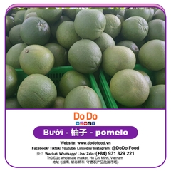 Bưởi 柚子