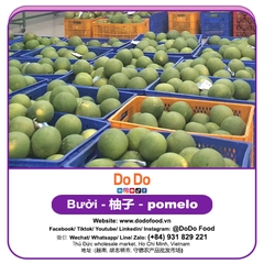 Bưởi 柚子