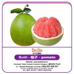 Bưởi 柚子
