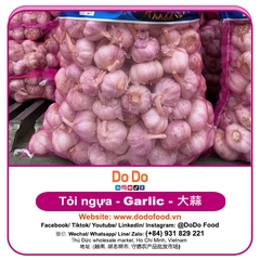Tỏi Ngựa - DODO GLOBAL