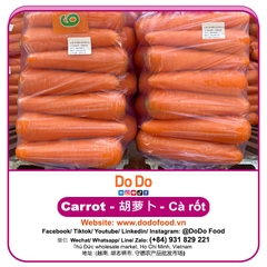 Carrot importing- 胡萝卜进口 | DODO FOOD