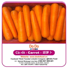 Carrot importing- 胡萝卜进口 | DODO FOOD