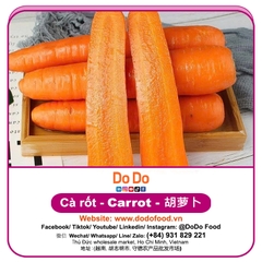 Carrot importing- 胡萝卜进口 | DODO FOOD
