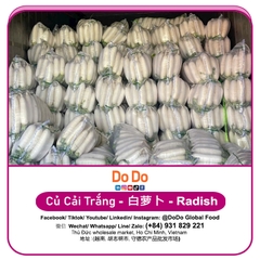 Củ Cải Trắng