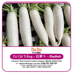 Củ Cải Trắng