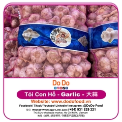 Chinese Garlic Export- 中国大蒜出口