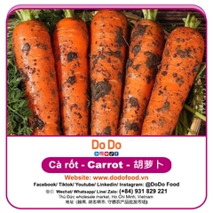 Carrot importing- 胡萝卜进口 | DODO FOOD