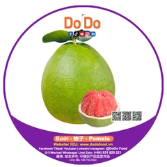 Bưởi 柚子