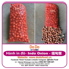 Hành indo