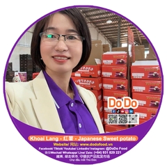 Khoai lang nhật