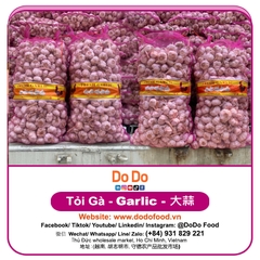 Tỏi Gà - DoDo Food