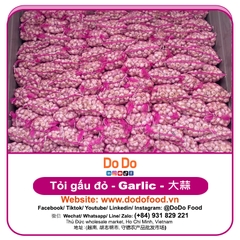 Tỏi gấu đỏ