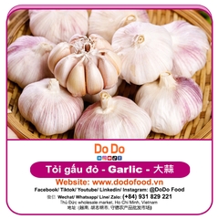 Tỏi gấu đỏ