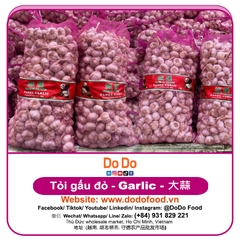 Tỏi gấu đỏ
