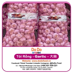 Tỏi Rồng