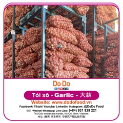 Tỏi xô