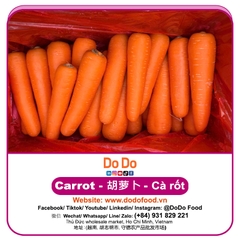 Cà rốt đất