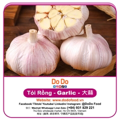 Chinese Garlic Export- 中国大蒜出口