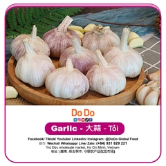 Tỏi DODO