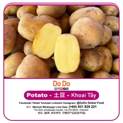 Khoai tây
