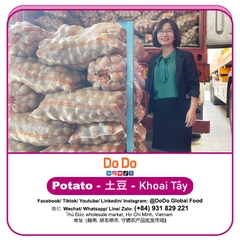 Khoai tây