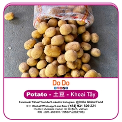 Khoai tây