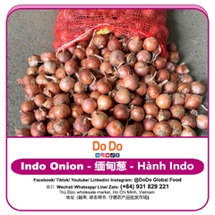 Hành indo