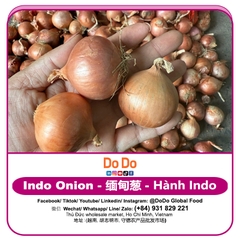 Hành indo