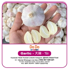 Tỏi DODO