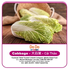 Cải thảo