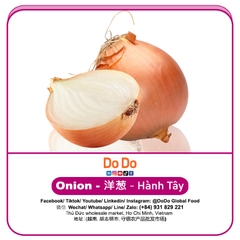 Hành tây