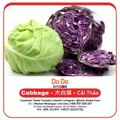 Bắp cải