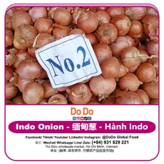 Hành indo