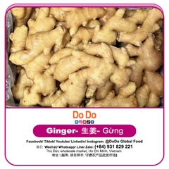 Gừng