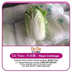 Cải thảo